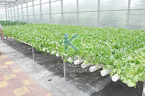 無土栽培，無土栽培技術，無土栽培設備