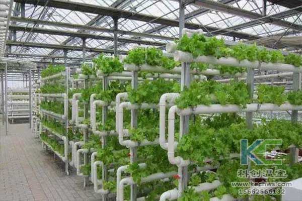 無土栽培，無土栽培技術，無土栽培設備