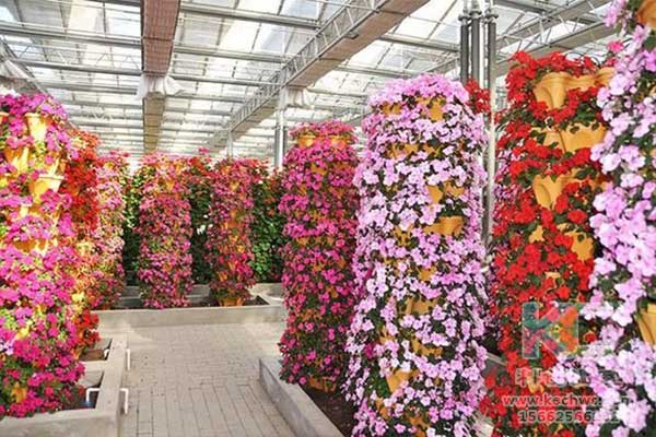 無(wú)土栽培，無(wú)土栽培技術(shù)，無(wú)土栽培設(shè)備