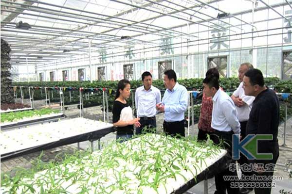 無土栽培，無土栽培技術，無土栽培設備