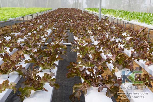 無土栽培，無土栽培技術(shù)，無土栽培設(shè)備