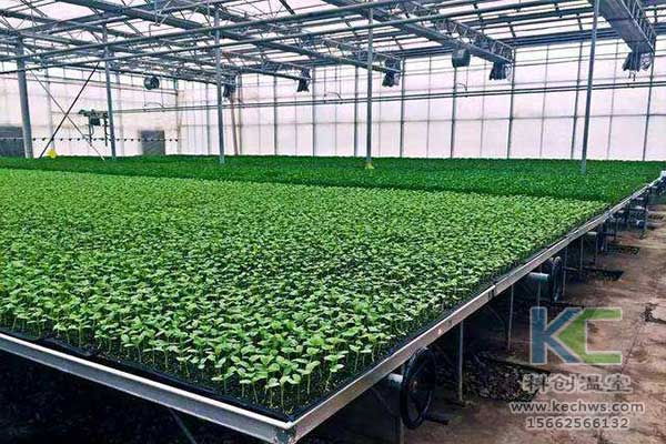 無土栽培，無土栽培技術(shù)，無土栽培設備