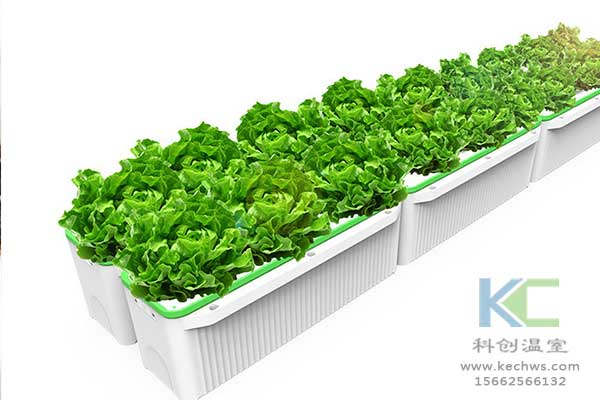 無土栽培，無土栽培技術(shù)，無土栽培設(shè)備