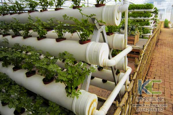 無土栽培，無土栽培技術，無土栽培設備