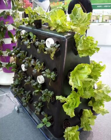 無土栽培，無土栽培技術，無土栽培設備