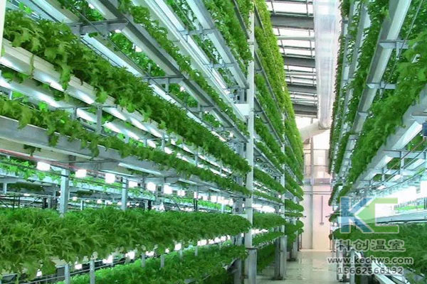 無土栽培技術(shù)，無土栽培設(shè)備，無土栽培，溫室大棚