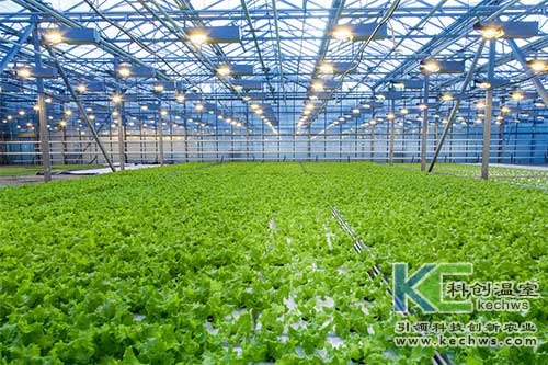 無土栽培，無土栽培技術(shù)，無土栽培設(shè)備