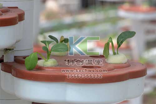 無土栽培，無土栽培技術，無土栽培設備