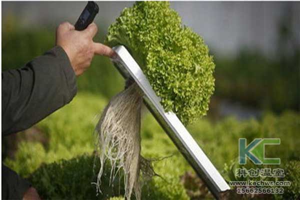 無土栽培，無土栽培技術，無土栽培基質