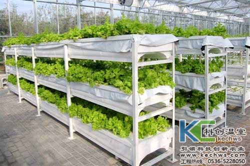 無土栽培，無土栽培技術(shù)，無土栽培設(shè)備