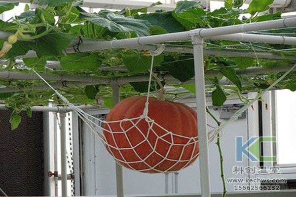 無土栽培技術，無土栽培設備，無土栽培，溫室大棚