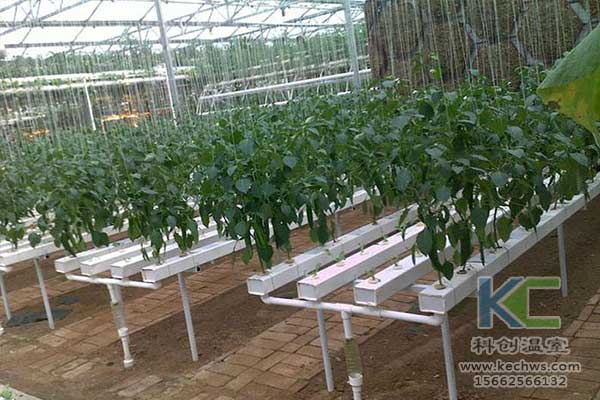 無土栽培，無土栽培技術，無土栽培設備