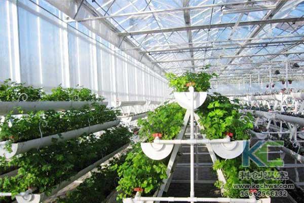 無土栽培，無土栽培技術，無土栽培設備