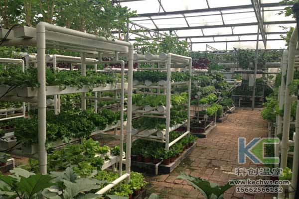無土栽培，無土栽培技術，無土栽培設備