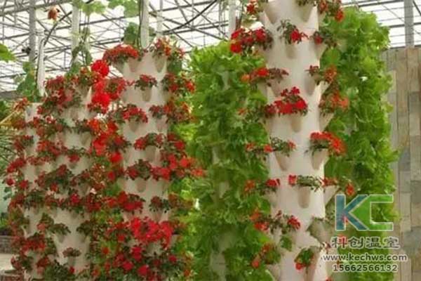 無土栽培，無土栽培技術(shù)，無土栽培設(shè)備