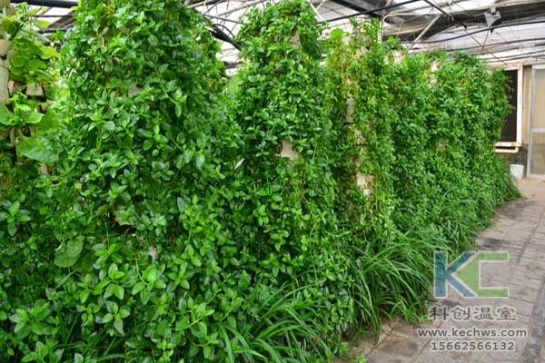 無土栽培，無土栽培技術(shù)，無土栽培設(shè)備