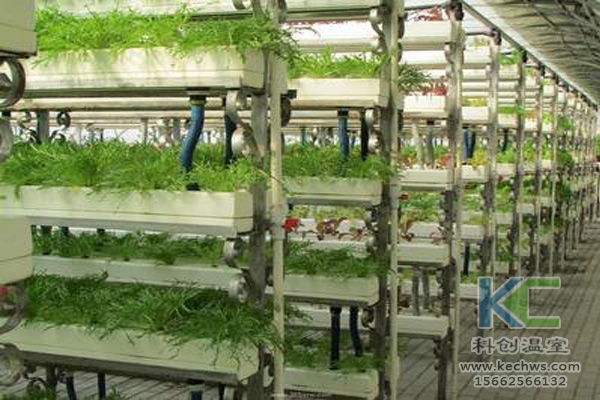 無土栽培，無土栽培技術(shù)，無土栽培設(shè)備