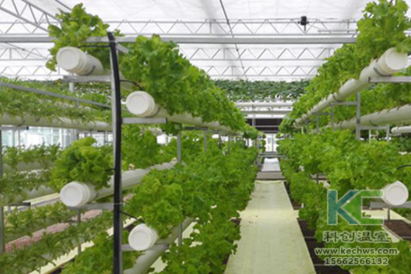 無土栽培，無土栽培技術，無土栽培設備
