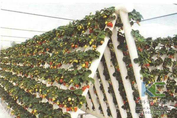 無土栽培，無土栽培技術，無土栽培設備