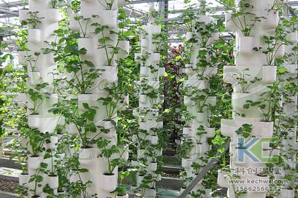 無土栽培技術，無土栽培設備，無土栽培，溫室大棚