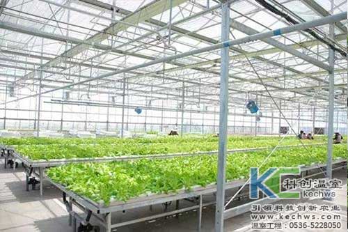 無土栽培，無土栽培技術，無土栽培設備