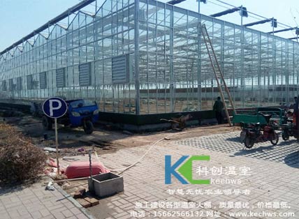 無土栽培，無土栽培技術，無土栽培設備