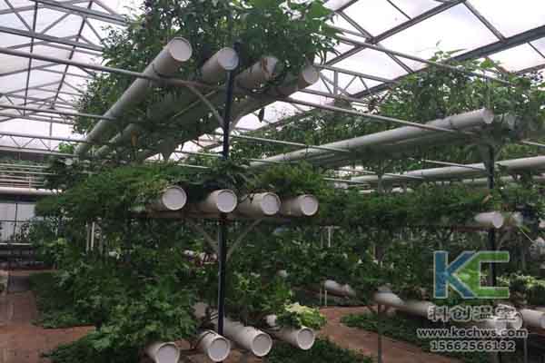 無土栽培技術，無土栽培設備，無土栽培，溫室大棚