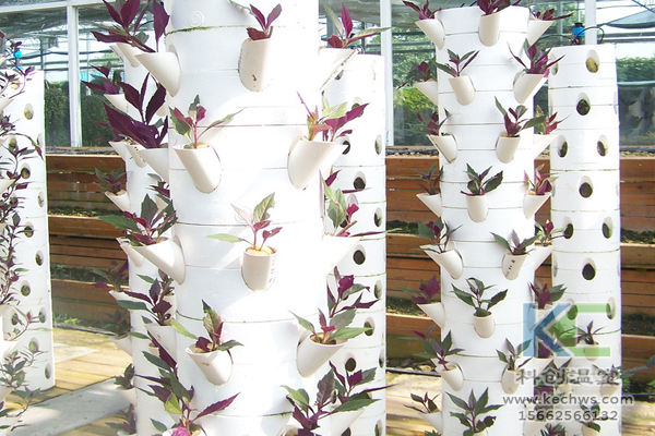 無土栽培，無土栽培技術，無土栽培設備