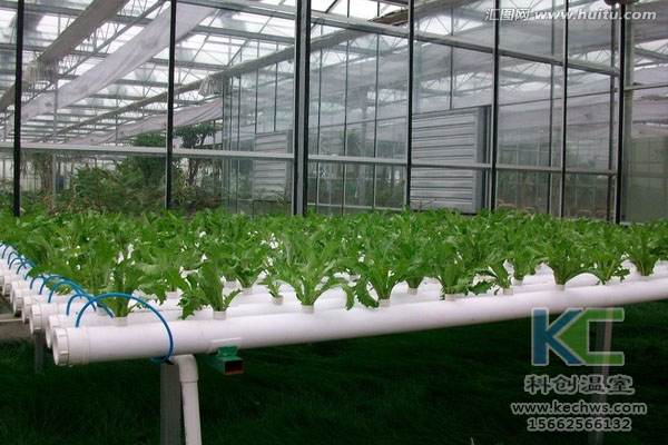 無土栽培，無土栽培技術，無土栽培設備
