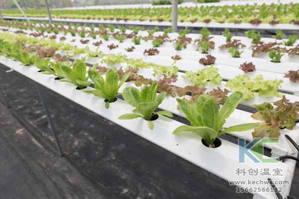 無土栽培，無土栽培技術，無土栽培設備