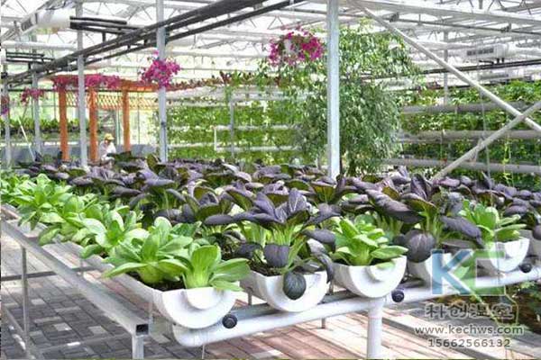 無土栽培，無土栽培技術(shù)，無土栽培設備
