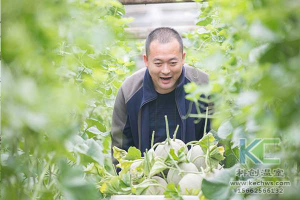 無土栽培，無土栽培技術，無土栽培設備