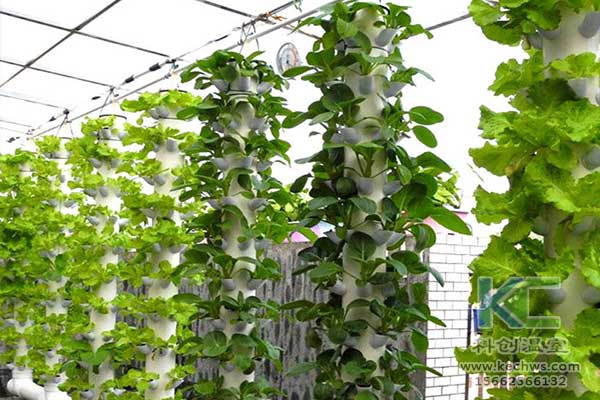 無土栽培，無土栽培技術(shù)，無土栽培設備