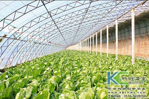 無土栽培，無土栽培技術(shù)，無土栽培設(shè)備