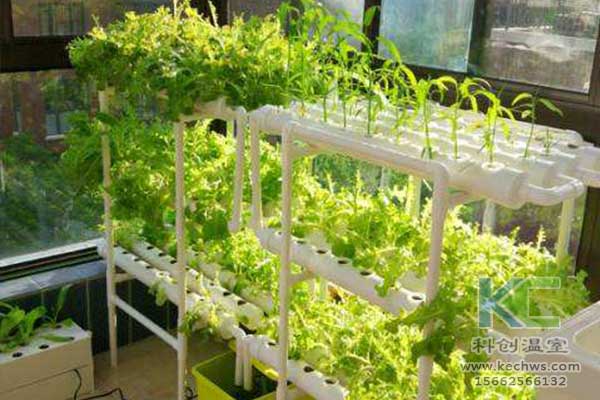 無土栽培，無土栽培技術，無土栽培設備