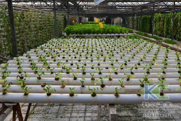無土栽培，無土栽培技術，無土栽培設備