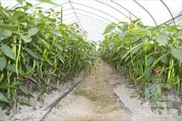 無土栽培，無土栽培技術