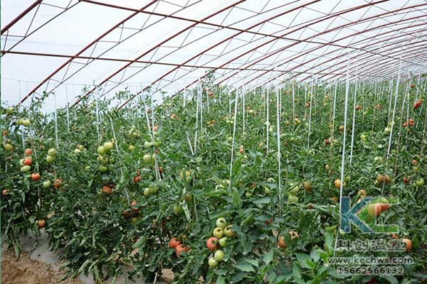 無土栽培，無土栽培技術