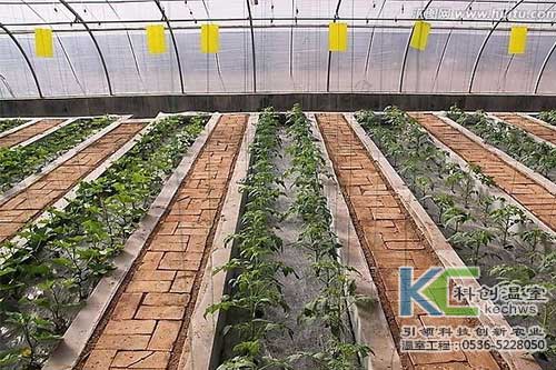 無土栽培，無土栽培技術，無土栽培設備