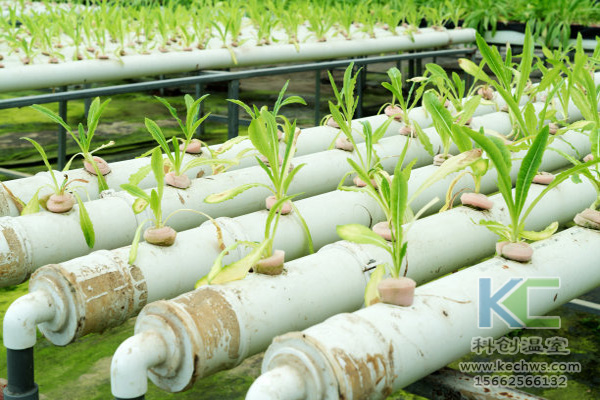 無(wú)土栽培，無(wú)土栽培技術(shù)，無(wú)土栽培設(shè)備