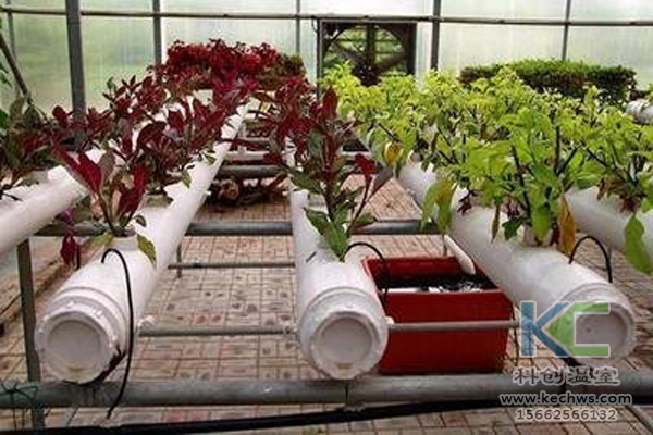 無土栽培，無土栽培技術，無土栽培設備