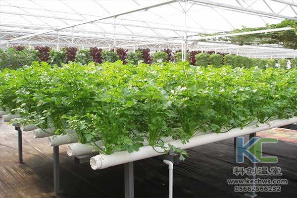 無土栽培，無土栽培技術，無土栽培設備