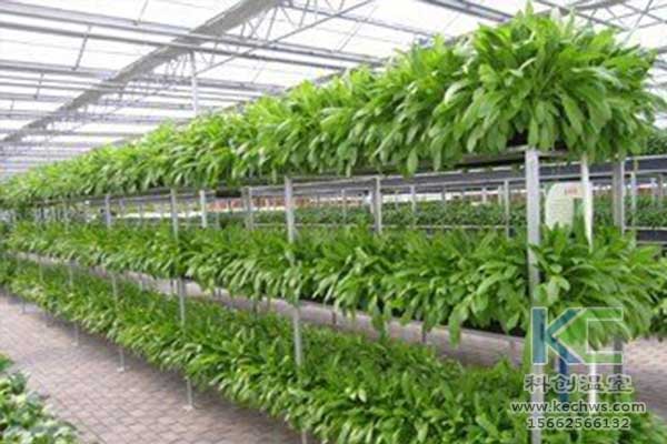 無土栽培，無土栽培技術，無土栽培設備
