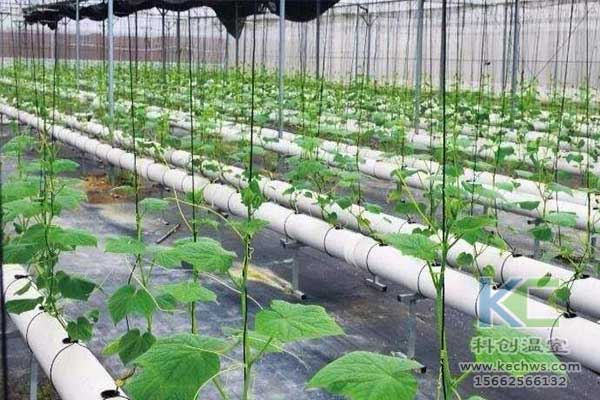 無土栽培，無土栽培技術，無土栽培設備
