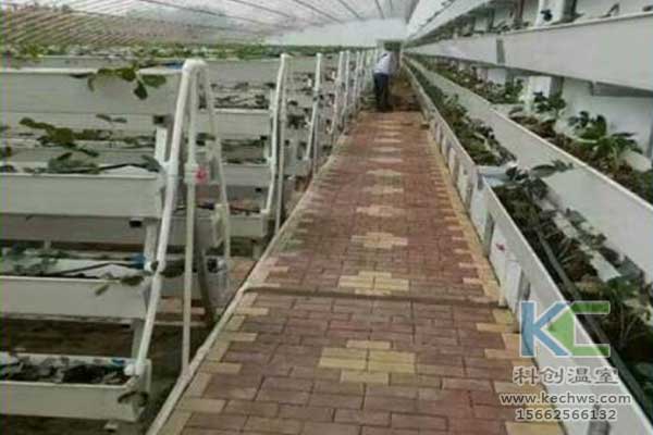 無土栽培，無土栽培技術，無土栽培設備