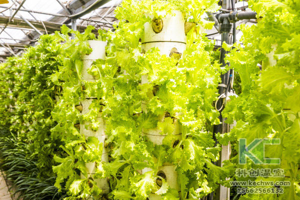 無土栽培，無土栽培技術(shù)，無土栽培設(shè)備