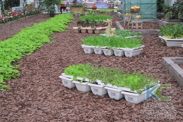 無土栽培，無土栽培技術，無土栽培設備