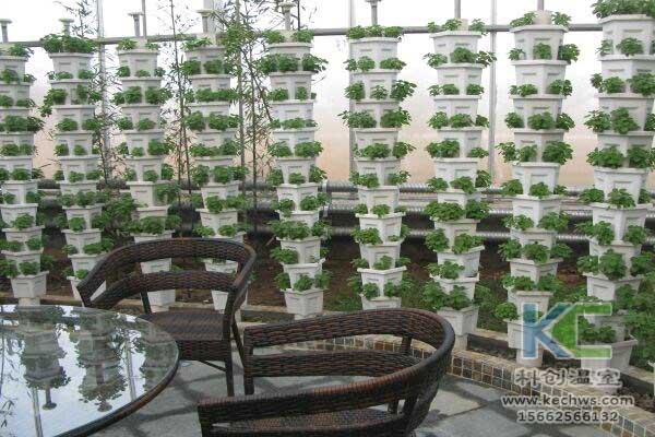 無土栽培，無土栽培技術(shù)，無土栽培設備