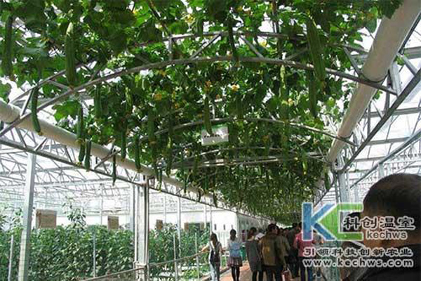 無土栽培，無土栽培技術(shù)，無土栽培設(shè)備