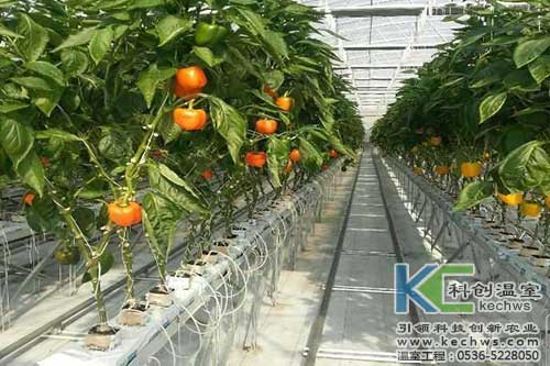 無土栽培，無土栽培技術(shù)，無土栽培設(shè)備